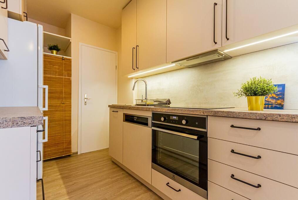 Roomy Apartment 80Sqm At City Center Free Parking Space, Ac & Balcony Budapesta Exterior foto