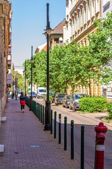 Roomy Apartment 80Sqm At City Center Free Parking Space, Ac & Balcony Budapesta Exterior foto