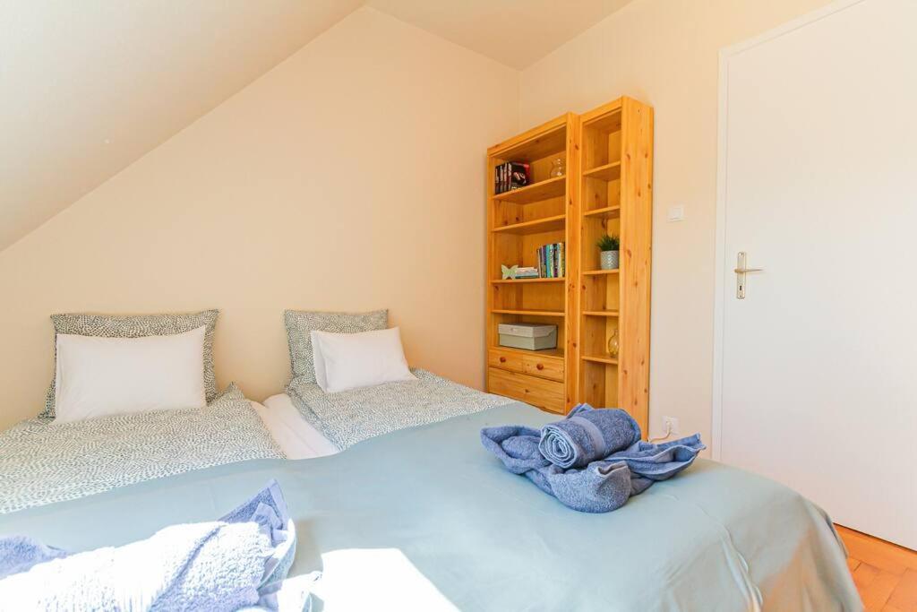 Roomy Apartment 80Sqm At City Center Free Parking Space, Ac & Balcony Budapesta Exterior foto