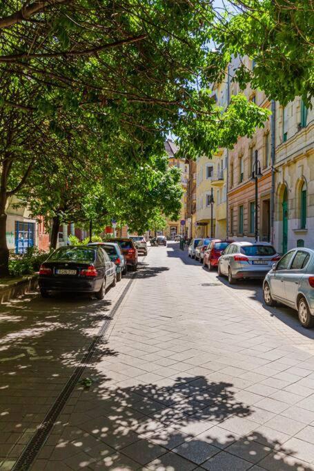 Roomy Apartment 80Sqm At City Center Free Parking Space, Ac & Balcony Budapesta Exterior foto